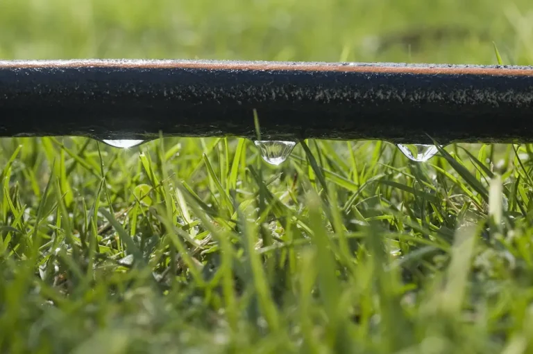 Are Soaker Hoses Good for Gardens: The Truth About Soaker Hoses